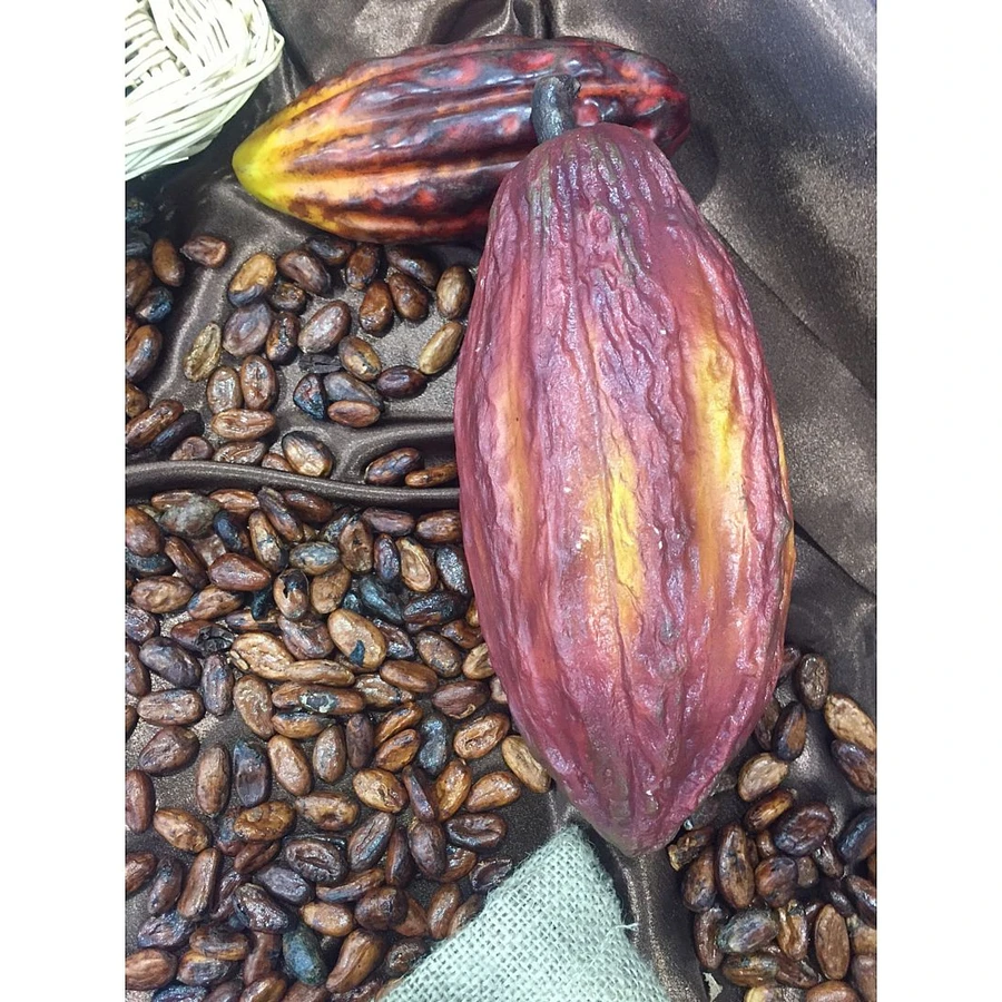 Bean to Bar Course in Italian FBM Area